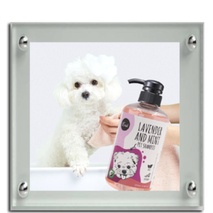 Dog & Cat Shampoo