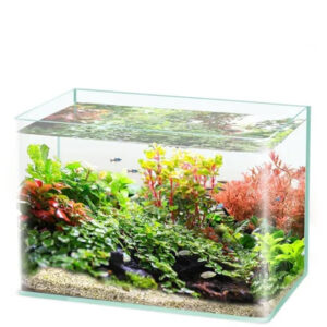 Fish Tank - 40 Gallon