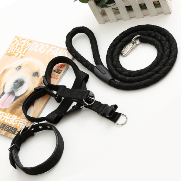 Dog collar harness - Image 5