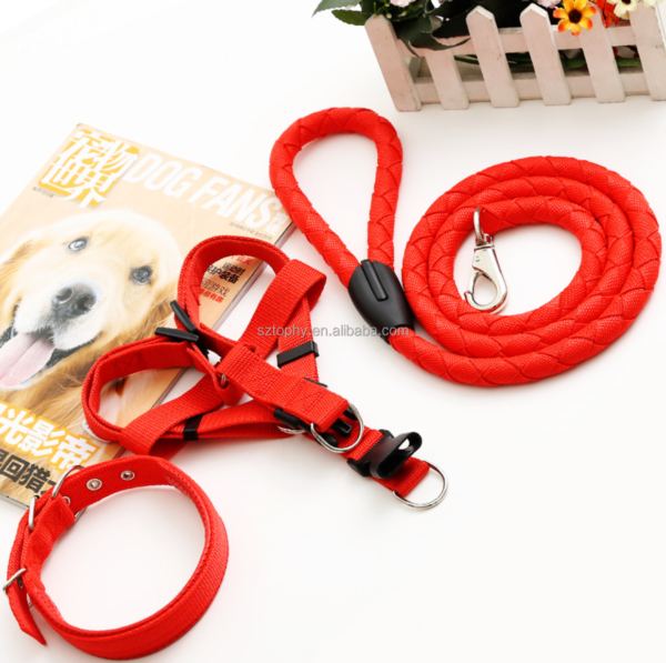 Dog collar harness - Image 4